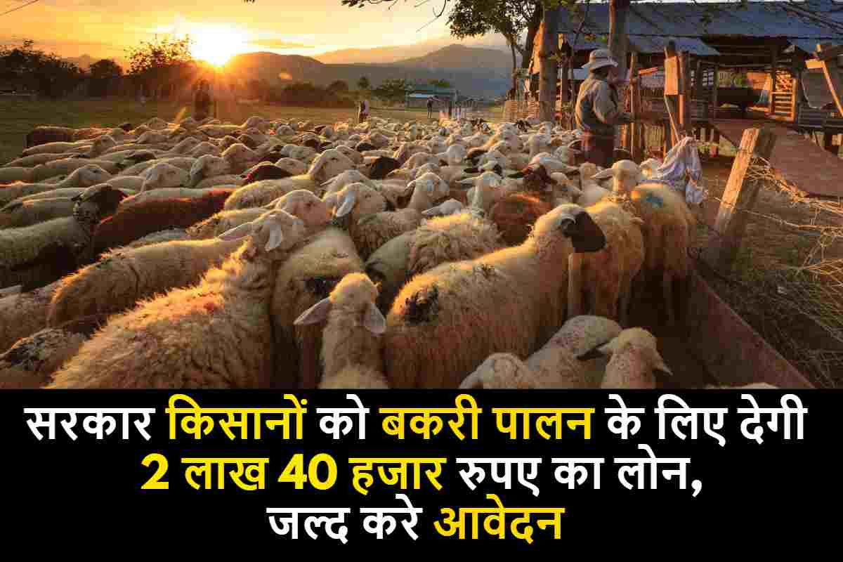 Goat Farming 2023: सरकार किसानों को बकरी पालन के लिए देगी 2 लाख 40 हजार रुपए का लोन, जाने आवेदन की पूरी प्रक्रिया