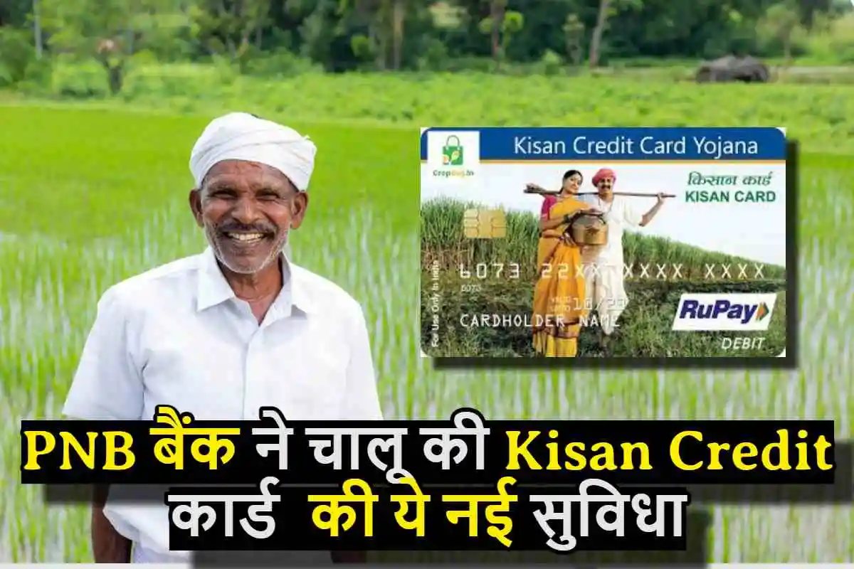 किसानों के लिए गुड न्यूज़, PNB बैंक ने चालू की Kisan Credit कार्ड की ये नई सुविधा, सभी किसान उठा पाएंगे लाभ