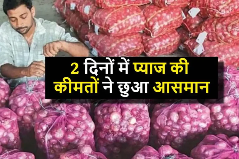 Onion Price Hike: दो दिनों में प्याज की कीमतों ने छुआ आसमान, ₹80 प्रति किलो हुए भाव, आखिर क्यों बढ़ रहे है दाम  